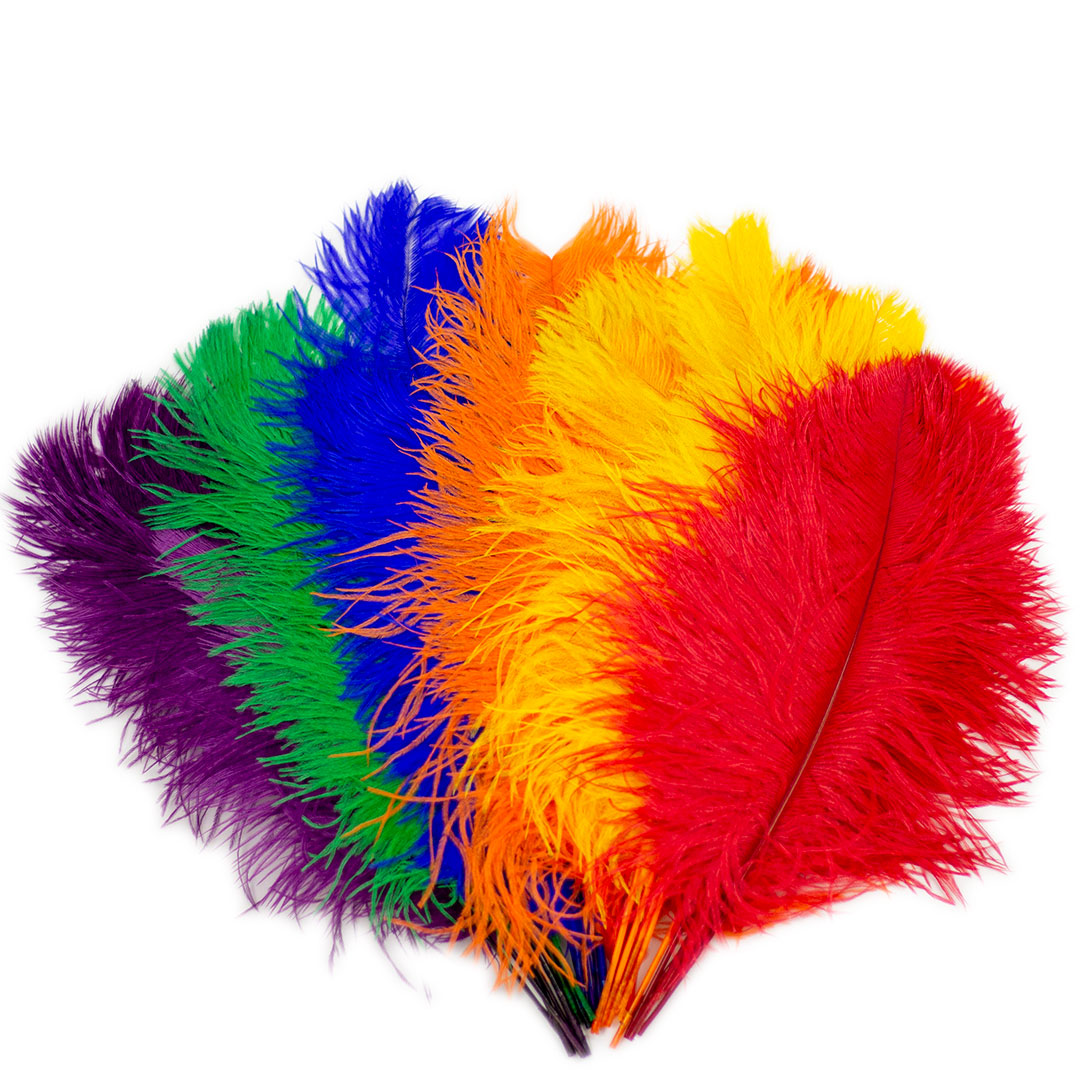 Ostrich Feathers - 16-18 Tail Feathers - Rainbow
